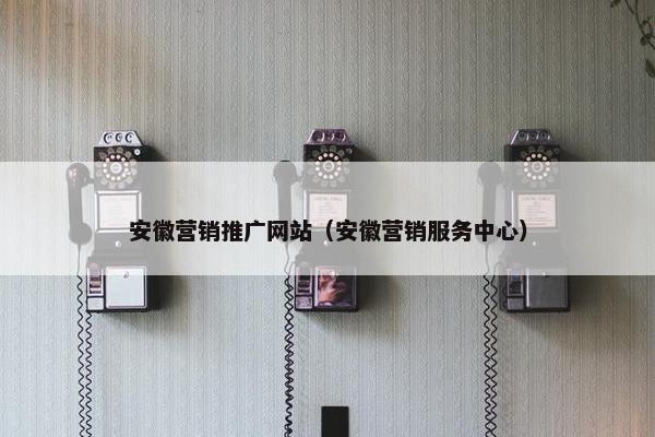安徽营销推广网站（安徽营销服务中心）