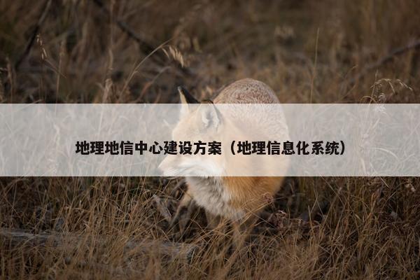 地理地信中心建设方案（地理信息化系统）