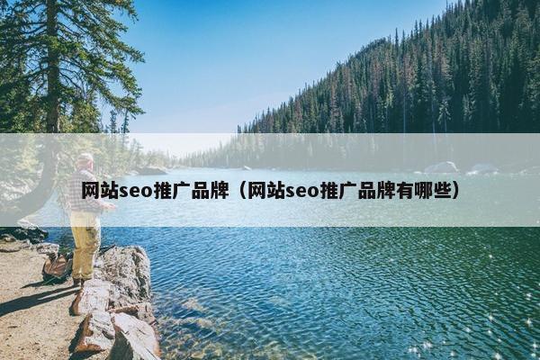 网站seo推广品牌（网站seo推广品牌有哪些）