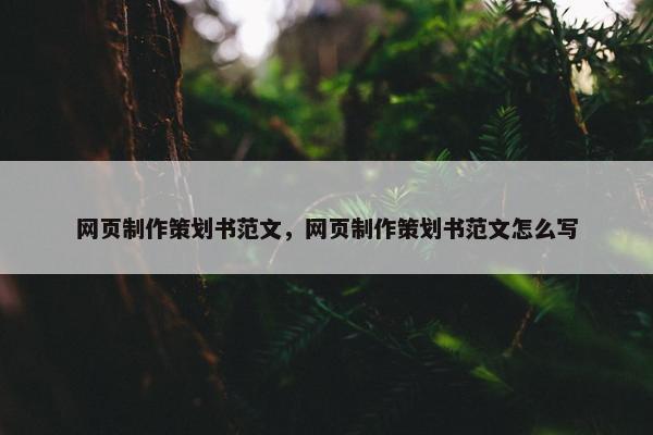 网页制作策划书范文，网页制作策划书范文怎么写