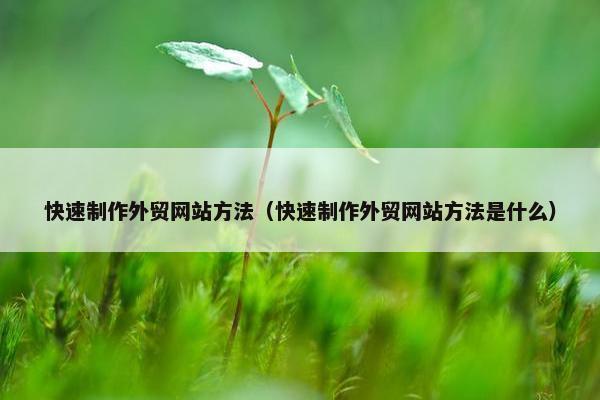 快速制作外贸网站方法（快速制作外贸网站方法是什么）
