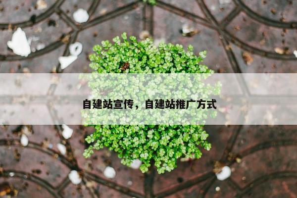 自建站宣传，自建站推广方式