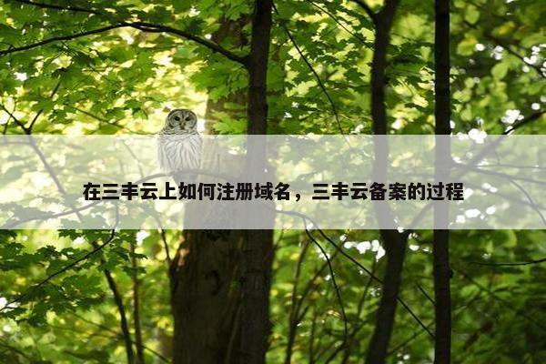 在三丰云上如何注册域名，三丰云备案的过程