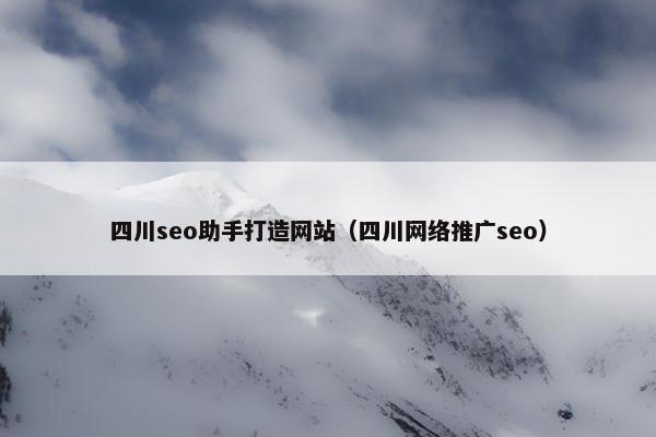 四川seo助手打造网站（四川网络推广seo）