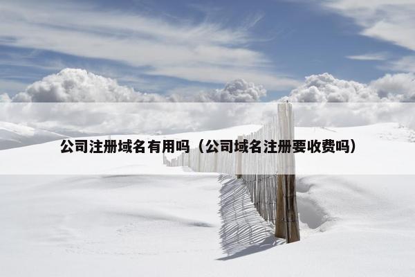 公司注册域名有用吗（公司域名注册要收费吗）