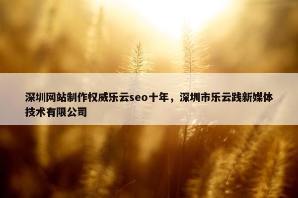 深圳网站制作权威乐云seo十年，深圳市乐云践新媒体技术有限公司