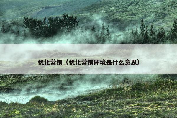 优化营销（优化营销环境是什么意思）