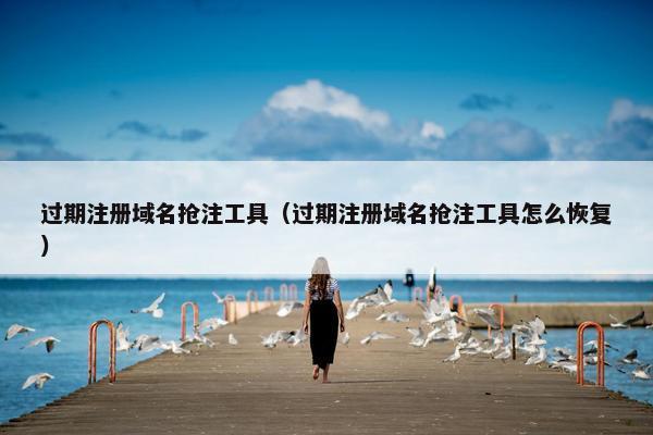过期注册域名抢注工具（过期注册域名抢注工具怎么恢复）