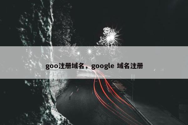 goo注册域名，google 域名注册