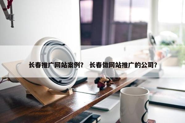 长春推广网站案例？ 长春做网站推广的公司？