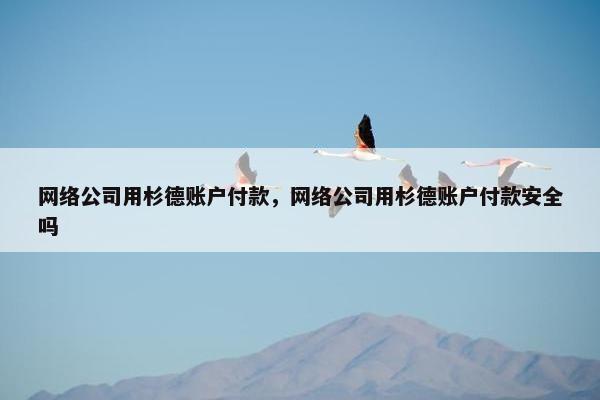 网络公司用杉德账户付款，网络公司用杉德账户付款安全吗