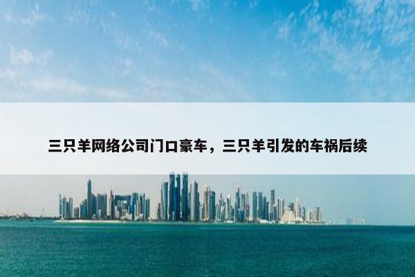 三只羊网络公司门口豪车，三只羊引发的车祸后续