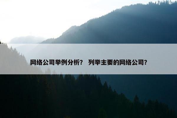 网络公司举例分析？ 列举主要的网络公司？