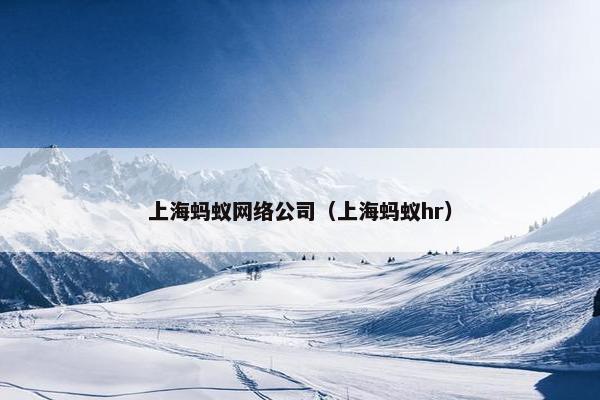 上海蚂蚁网络公司（上海蚂蚁hr）