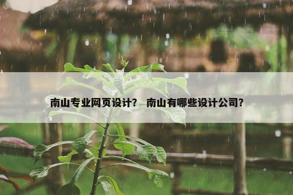 南山专业网页设计？ 南山有哪些设计公司？