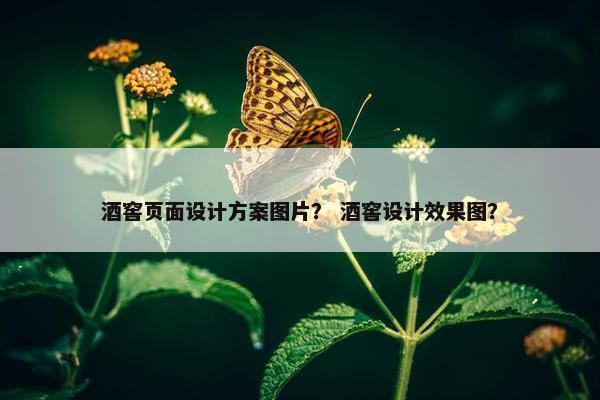 酒窖页面设计方案图片？ 酒窖设计效果图？