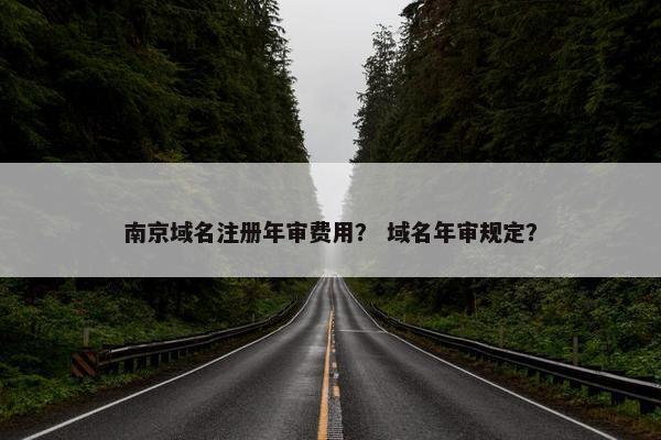 南京域名注册年审费用？ 域名年审规定？