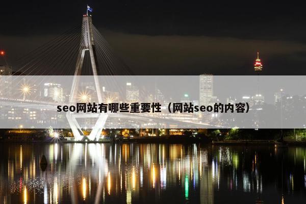 seo网站有哪些重要性（网站seo的内容）