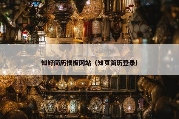 知好简历模板网站（知页简历登录）