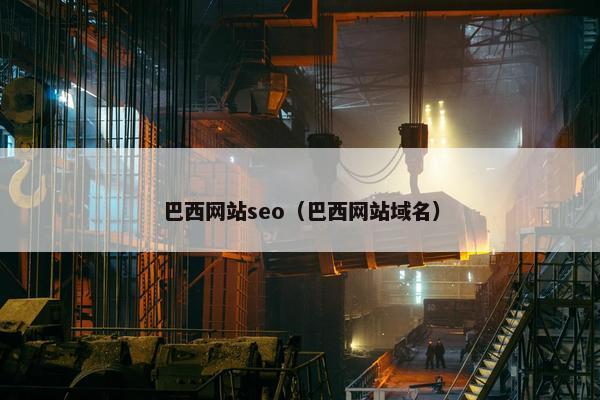 巴西网站seo（巴西网站域名）