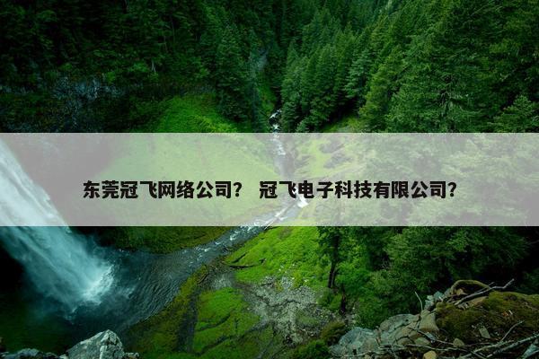 东莞冠飞网络公司？ 冠飞电子科技有限公司？