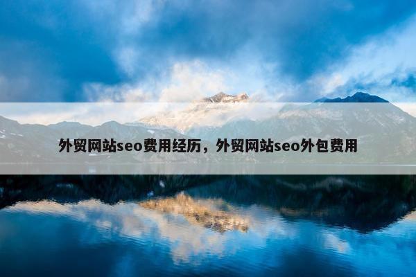 外贸网站seo费用经历，外贸网站seo外包费用