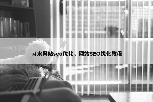 习水网站seo优化，网站SEO优化教程