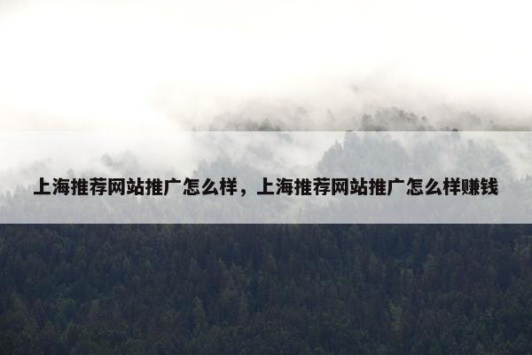 上海推荐网站推广怎么样，上海推荐网站推广怎么样赚钱