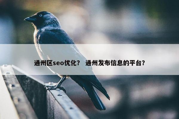 通州区seo优化？ 通州发布信息的平台？