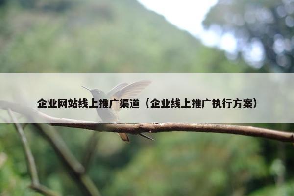 企业网站线上推广渠道（企业线上推广执行方案）
