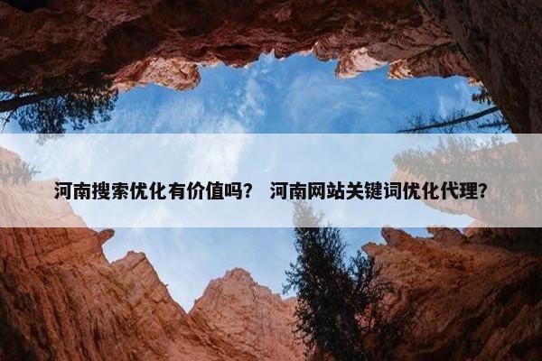 河南搜索优化有价值吗？ 河南网站关键词优化代理？