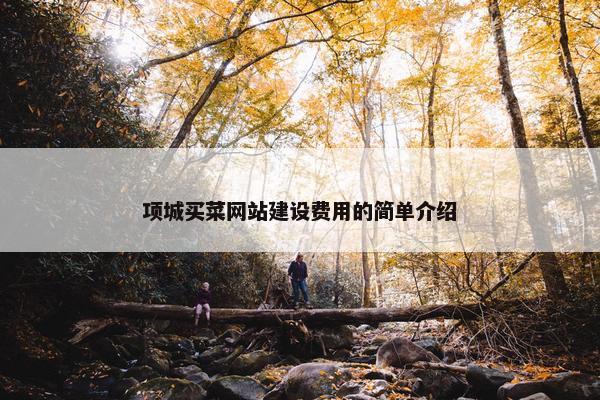 项城买菜网站建设费用的简单介绍