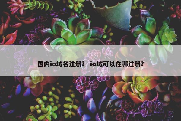 国内io域名注册？ io域可以在哪注册？