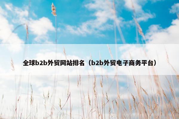 全球b2b外贸网站排名（b2b外贸电子商务平台）