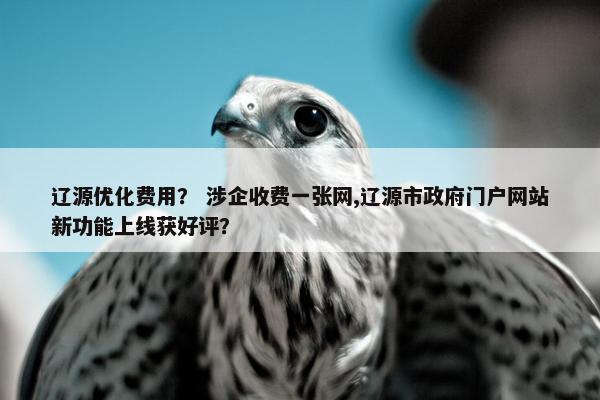 辽源优化费用？ 涉企收费一张网,辽源市政府门户网站新功能上线获好评？