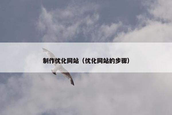 制作优化网站（优化网站的步骤）