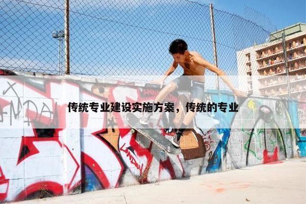 传统专业建设实施方案，传统的专业