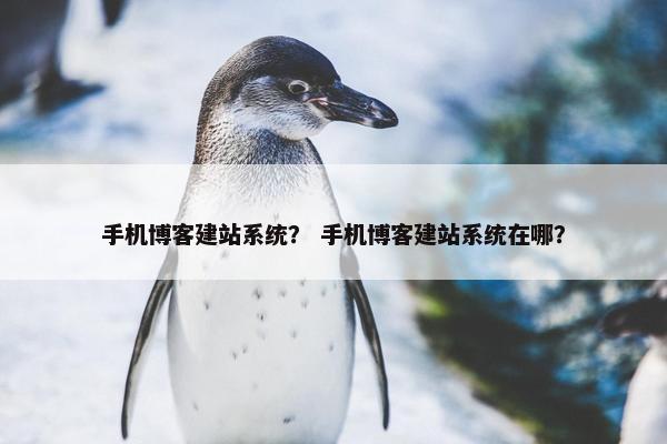 手机博客建站系统？ 手机博客建站系统在哪？
