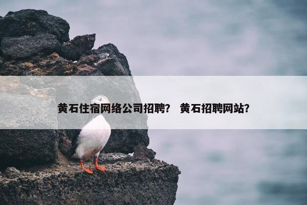 黄石住宿网络公司招聘？ 黄石招聘网站？
