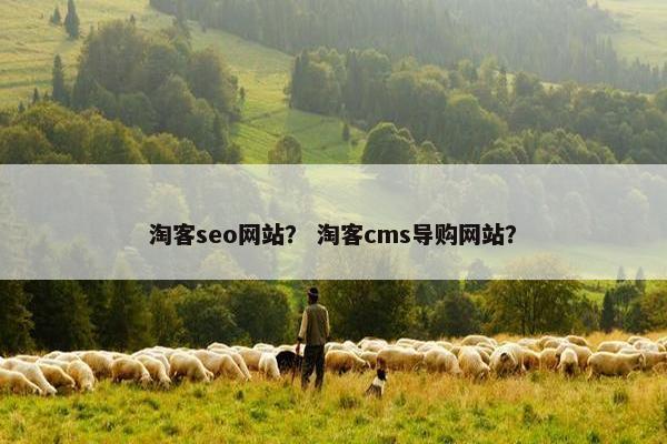 淘客seo网站？ 淘客cms导购网站？