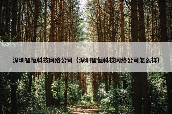 深圳智恒科技网络公司（深圳智恒科技网络公司怎么样）