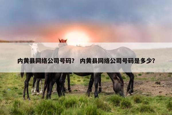 内黄县网络公司号码？ 内黄县网络公司号码是多少？