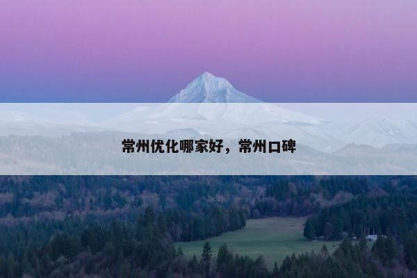 常州优化哪家好，常州口碑