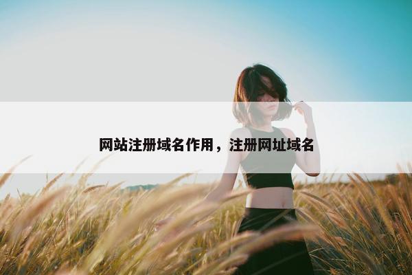 网站注册域名作用，注册网址域名