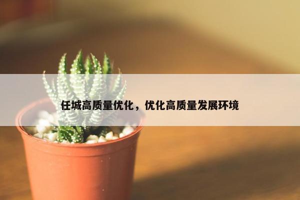 任城高质量优化，优化高质量发展环境