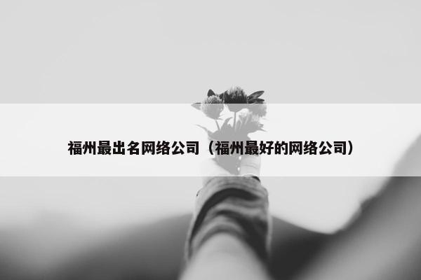 福州最出名网络公司（福州最好的网络公司）