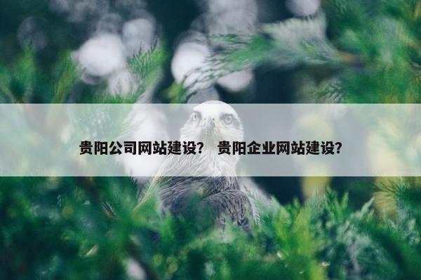 贵阳公司网站建设？ 贵阳企业网站建设？