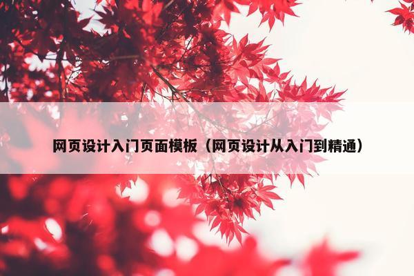 网页设计入门页面模板（网页设计从入门到精通）