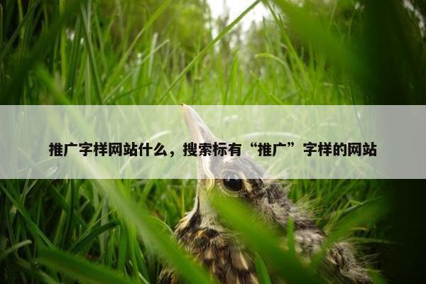 推广字样网站什么，搜索标有“推广”字样的网站