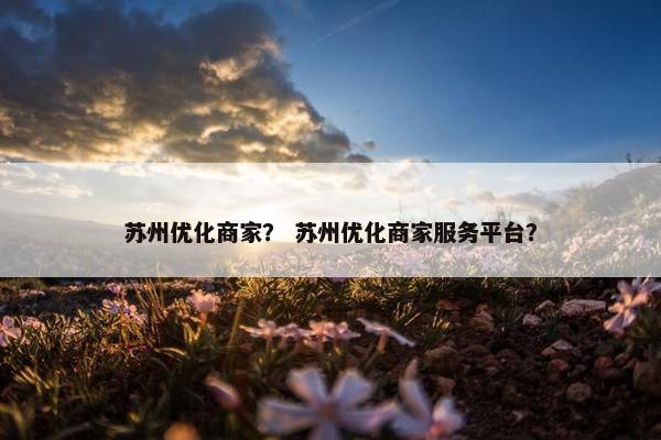 苏州优化商家？ 苏州优化商家服务平台？